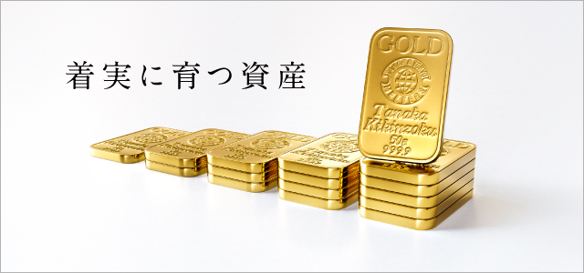 着実に育つ資産